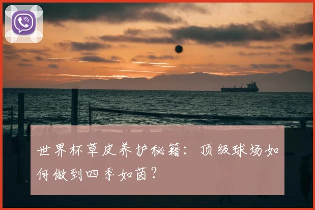世界杯草皮养护秘籍:顶级球场如何做到四季如茵?