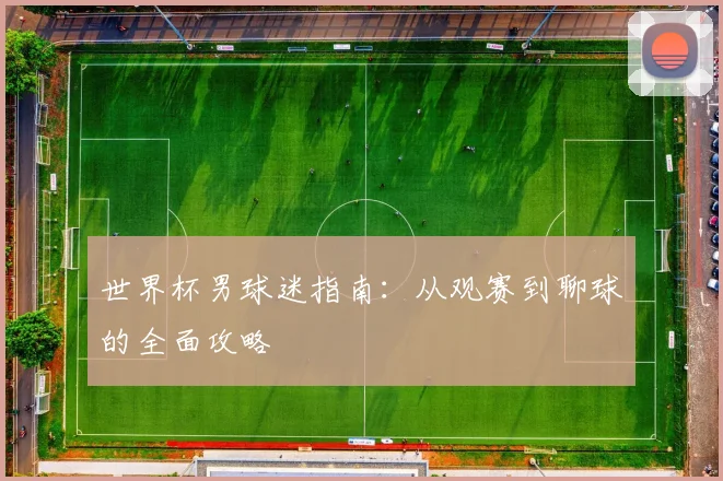 世界杯男球迷指南:从观赛到聊球的全面攻略