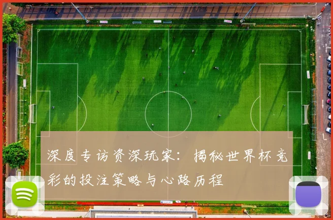 深度专访资深玩家:揭秘世界杯竞彩的投注策略与心路历程