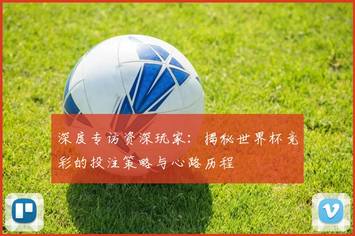 深度专访资深玩家:揭秘世界杯竞彩的投注策略与心路历程