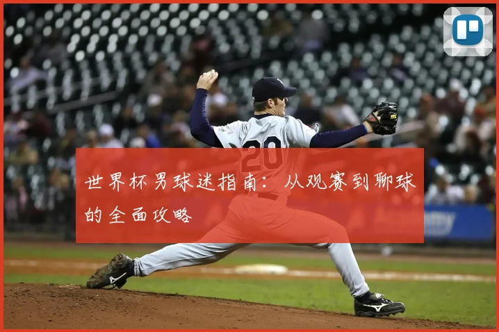 世界杯男球迷指南:从观赛到聊球的全面攻略