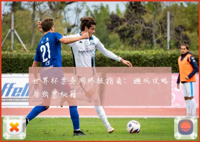 世界杯票务网终极指南：避坑攻略与购票秘籍