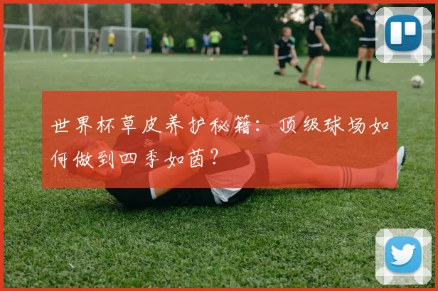 世界杯草皮养护秘籍:顶级球场如何做到四季如茵?