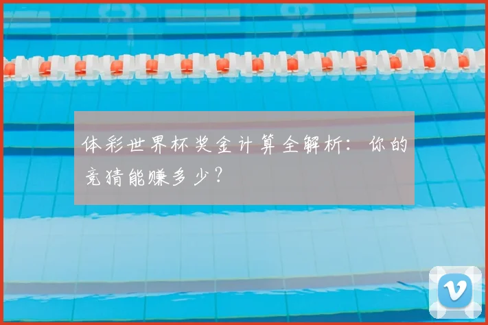 体彩世界杯奖金计算全解析：你的竞猜能赚多少？
